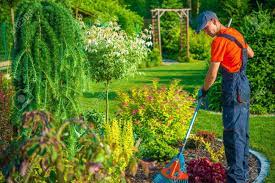 Gardener Needed In Oman